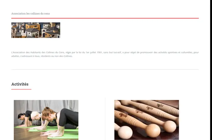 Forhåndsvisning av forsiden til collinesducens.fr
